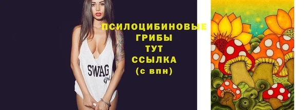 крисы Абдулино